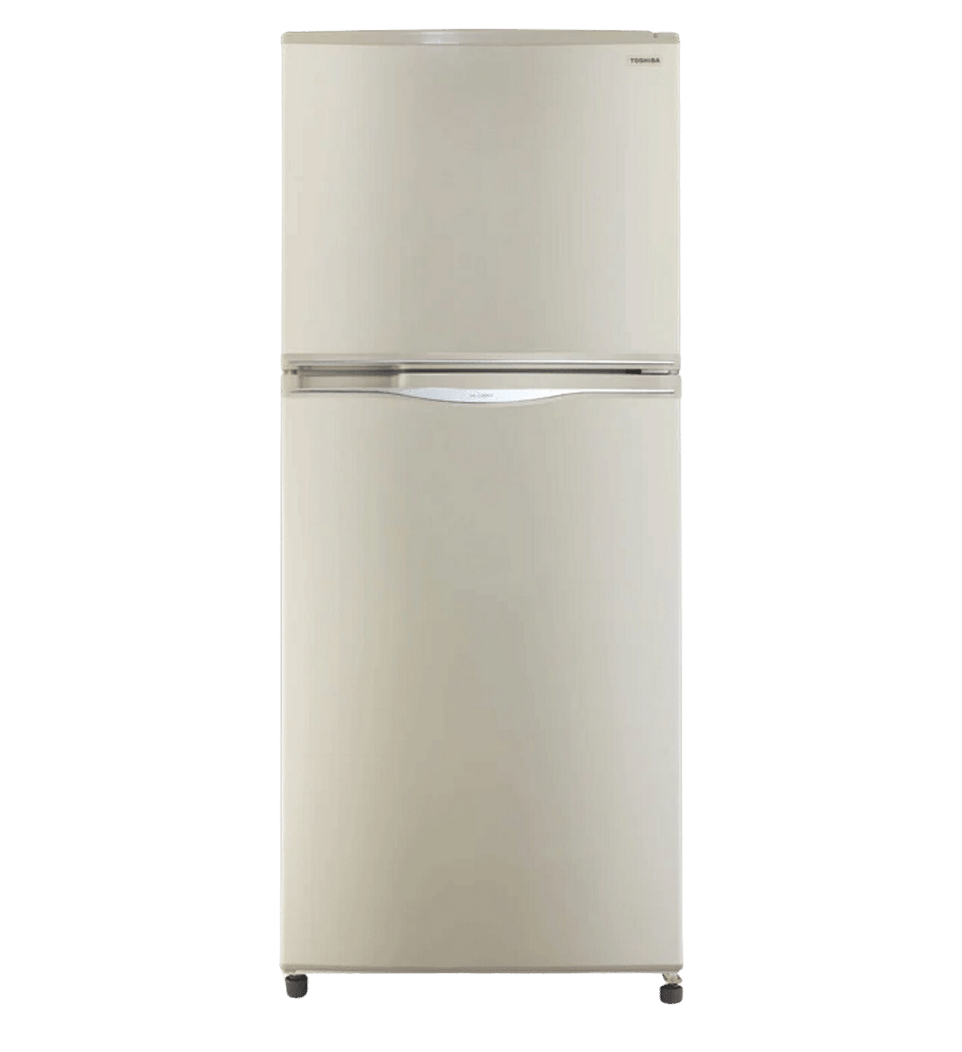 ثلاجه توشيبا 304 لتر 2 باب شامبين GR-EF33-T-C